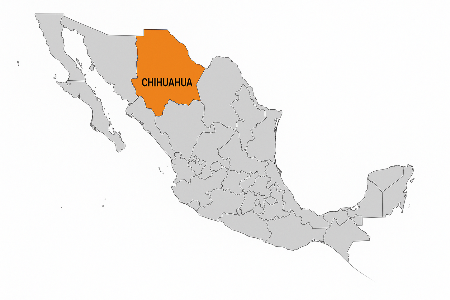 La Higuera Sotol Wheeleri